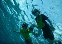 Cozumel Private Buggy Tour Snorkeling