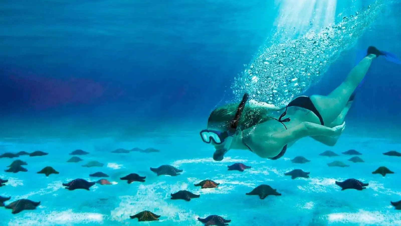 Lugar imperdible en la isla