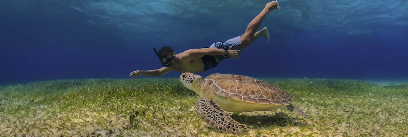 Main Image at Cozumel Best Tours
