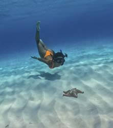 Cozumel El Cielo Private Tour